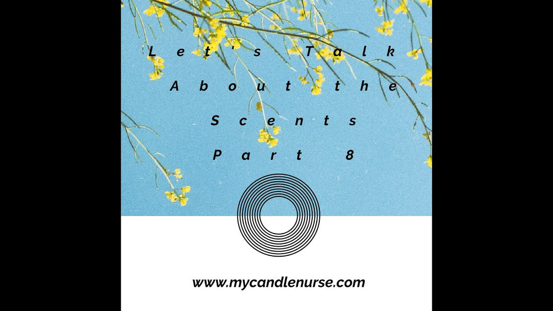 Part 8 || Let's Talk About the Scents🎉  || Vendor Wax Launch Series || #vendorwax
