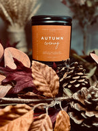 Autumn Evening